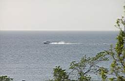 P5194033fix.jpg