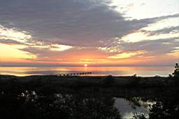 P5314103fix.jpg