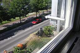 P5314097fix.jpg
