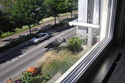 P5314099fix.jpg