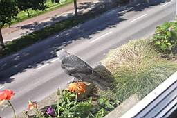 P5314100fix.jpg
