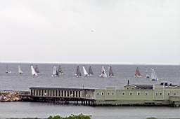 P6024135fix.jpg