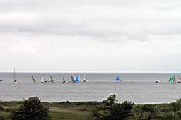 P6024138fix.jpg