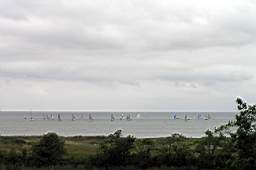 P6024139fix.jpg