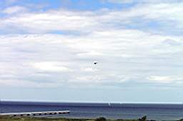 P6034144fix.jpg
