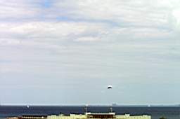 P6034150fix.jpg