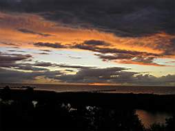 P7294477fix.jpg