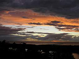 P7294479fix.jpg