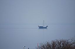 DSC_0907jus..jpg