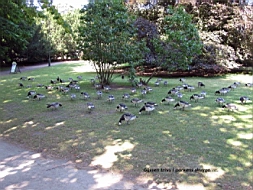 IMG_1071fx.jpg
